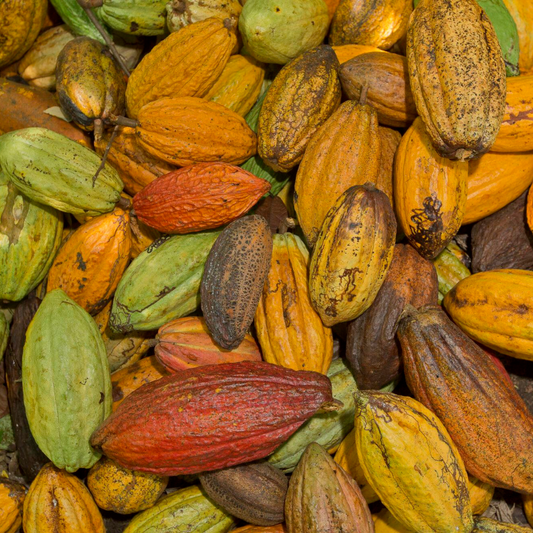 Navigating the Cocoa Market: An Update on Chocolate Pricing