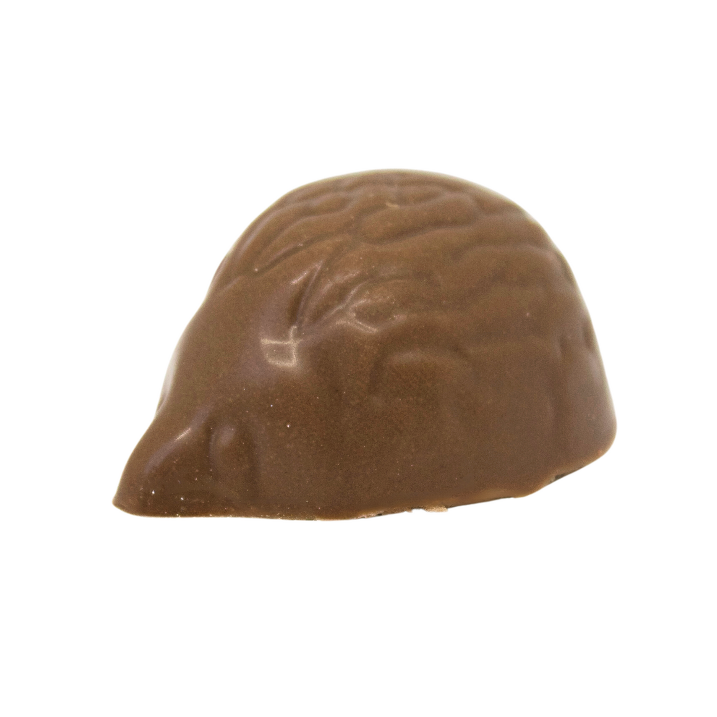 Milk Chocolate Praline Hedgehog