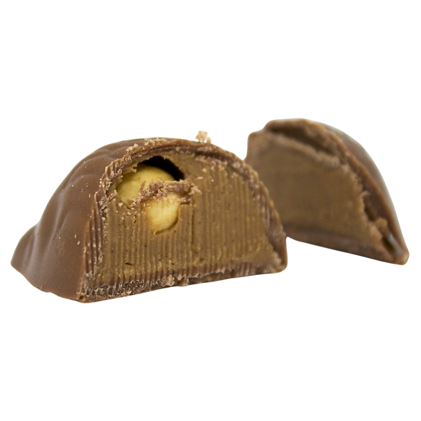 Milk Chocolate Praline Hedgehog