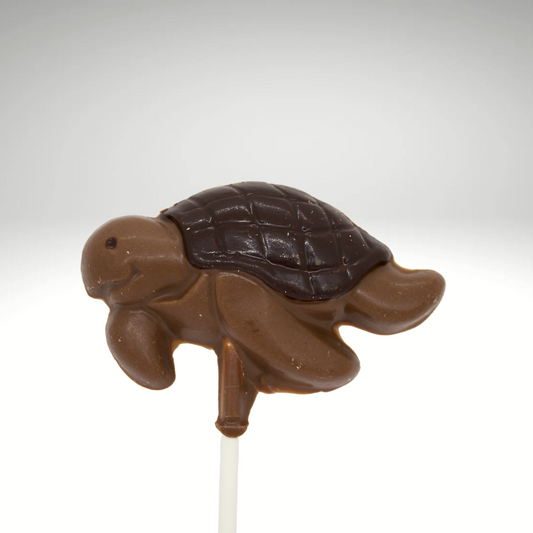 Turtle Chocolate Lollipop